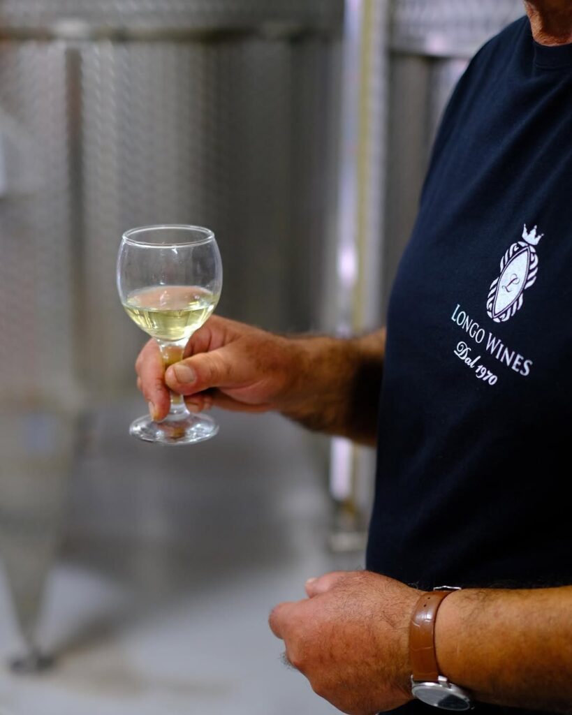 Degustazione di vino siciliano artigianale nella cantina a Partinico
