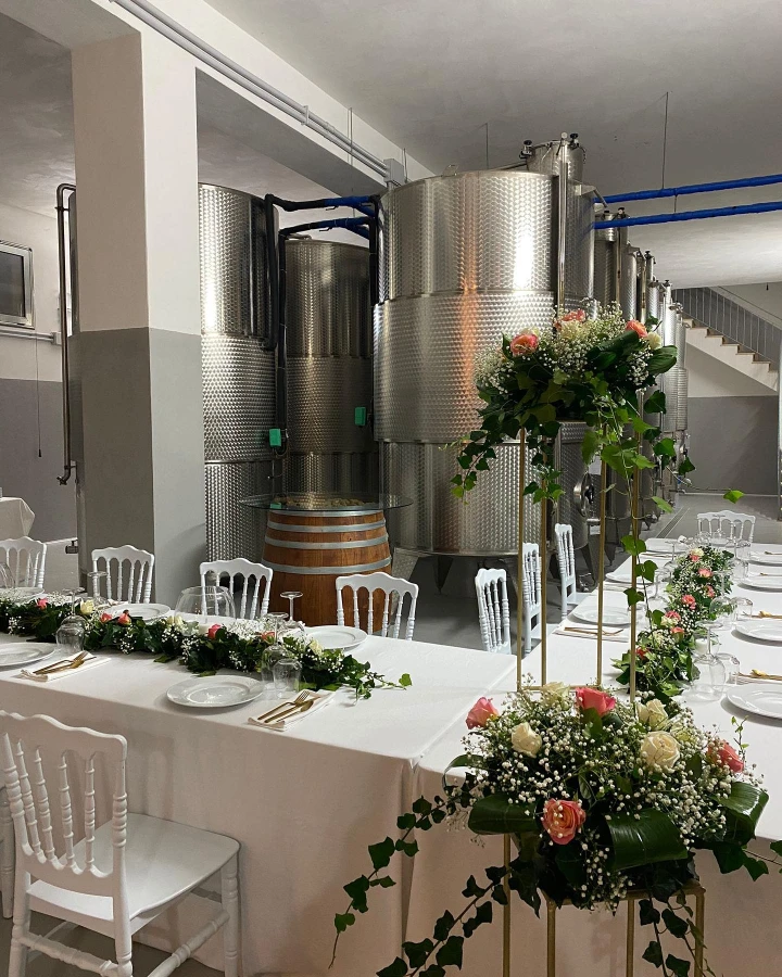 Visita guidata nella Cantina Longo con degustazione dei vini